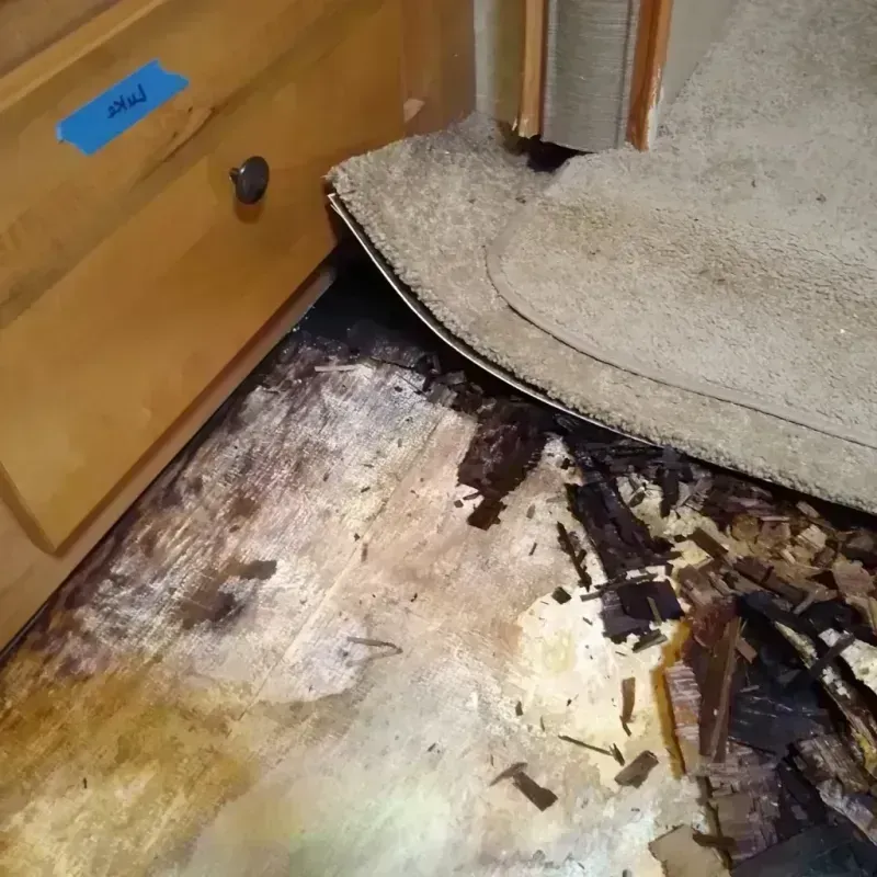 Wood Floor Water Damage in Addison, ME